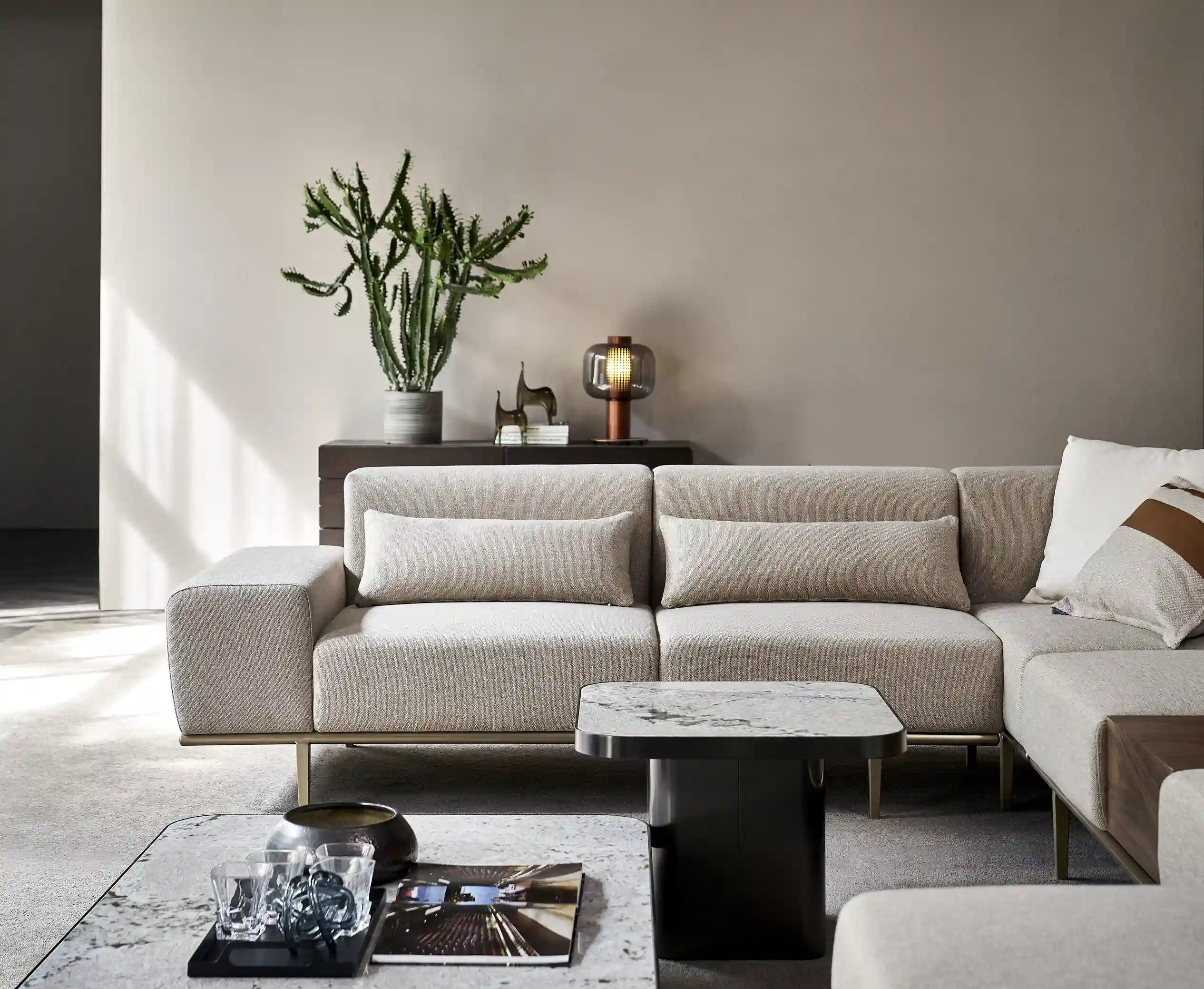 Entire Needs Sofa Set