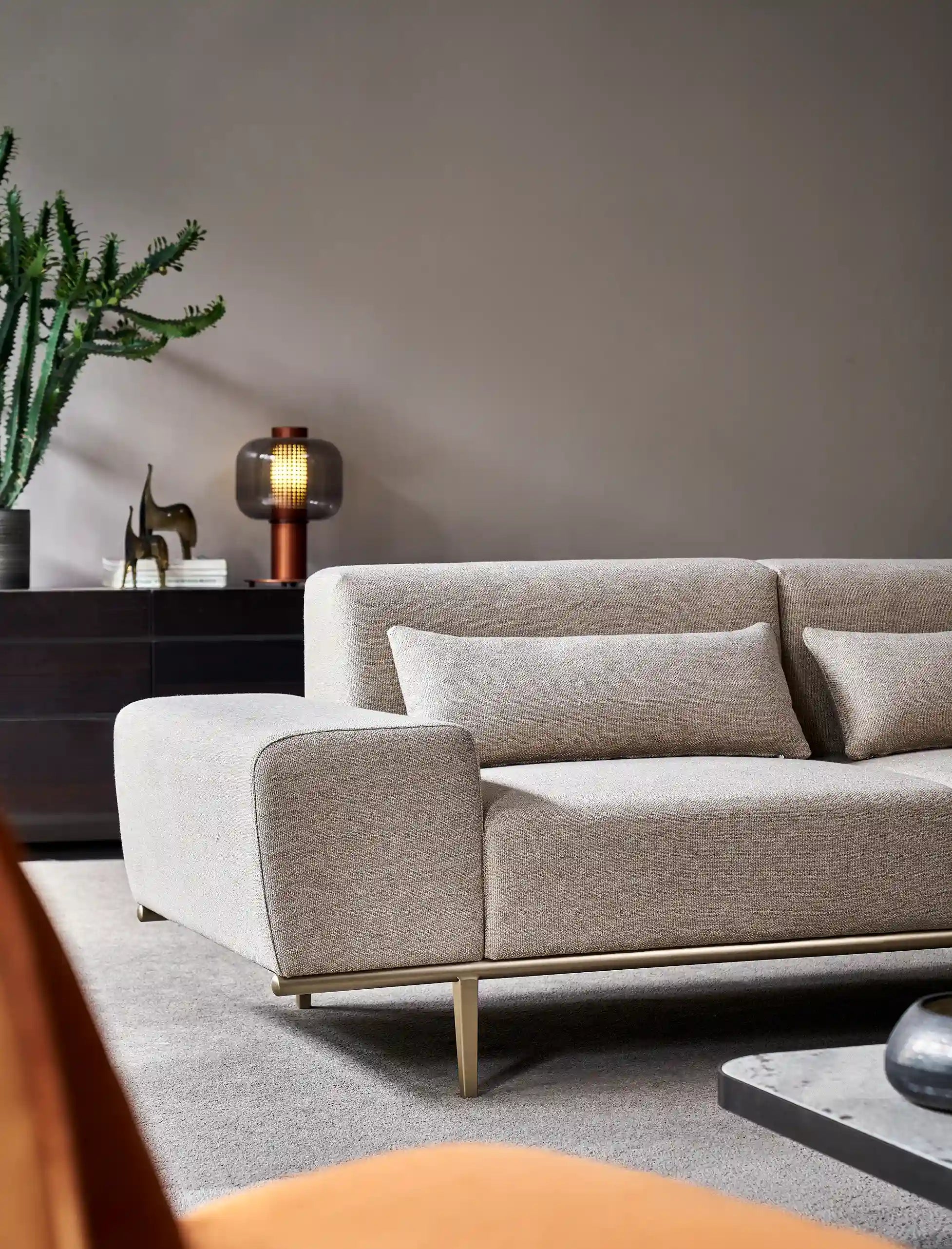 Entire Needs Sofa Set